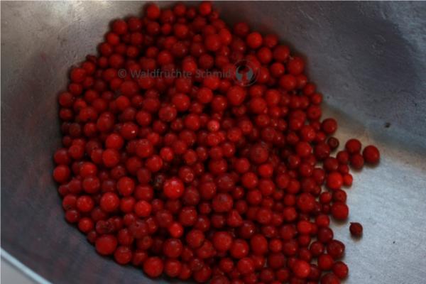 Preiselbeeren tiefgefroren, 1 kg (Vaccinium vitis-idaea)